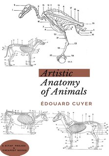Front cover_Artistic Anatomy of Animals
