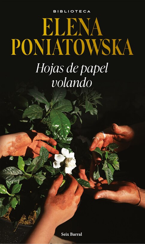 Front cover_Hojas de papel volando