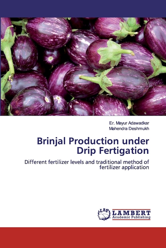 Brinjal Production under Drip Fertigation