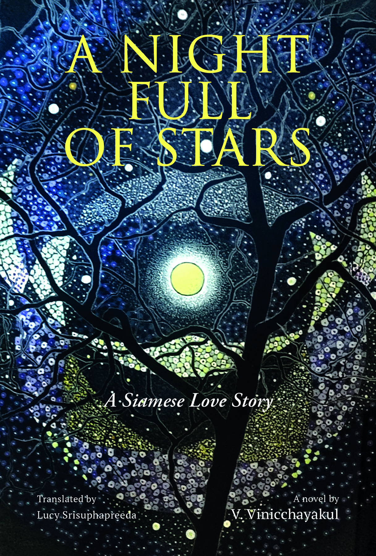 Front cover_A Night Full of Stars