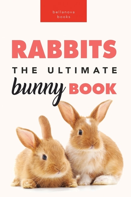 Couverture_Rabbits
