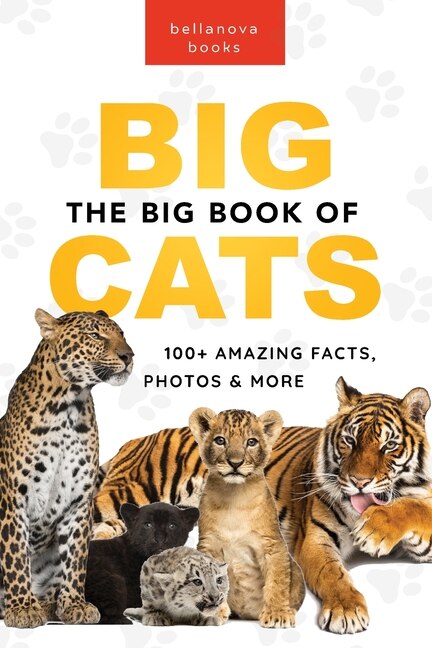 Front cover_The Big Book of Big Cats