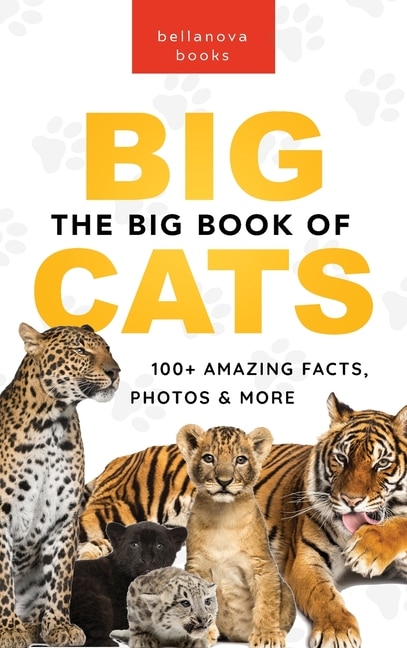 Front cover_The Big Book of Big Cats