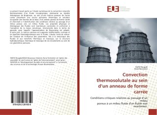 Couverture_Convection thermosolutale au sein d'un anneau de forme carrée