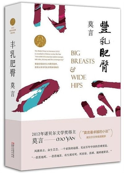 Front cover_Chinese Simp Big Breasts and Wide Hips