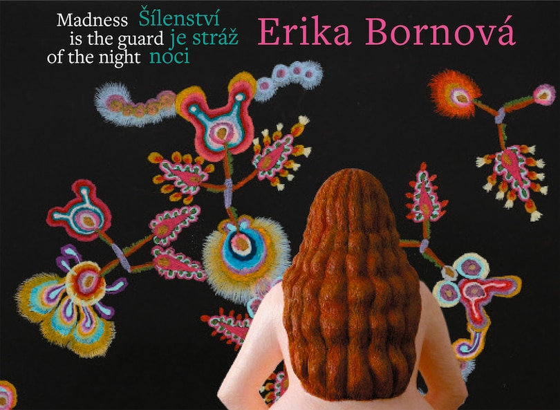 Front cover_Erika Bornov�: Madness Is the Guard of the Night