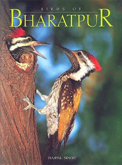 Couverture_Birds Of Bharatpur