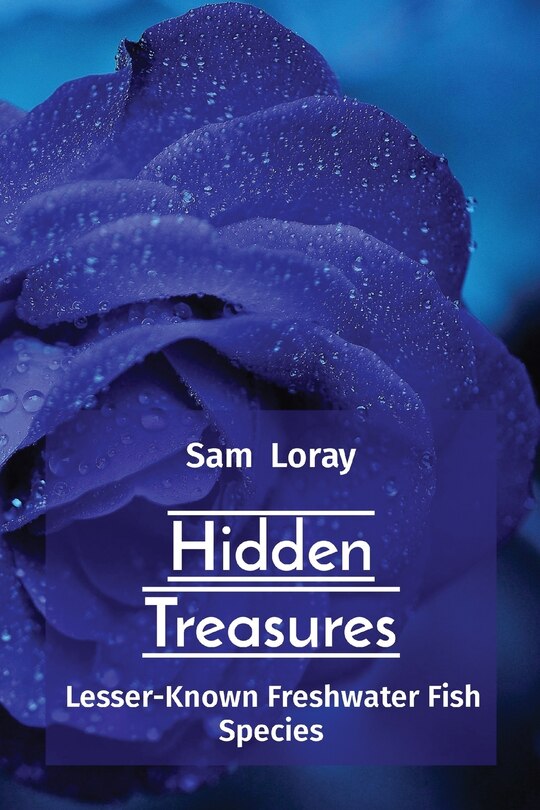 Front cover_Hidden Treasures