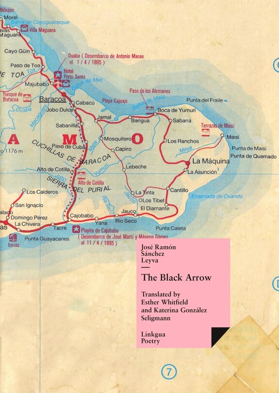 Couverture_The Black Arrow