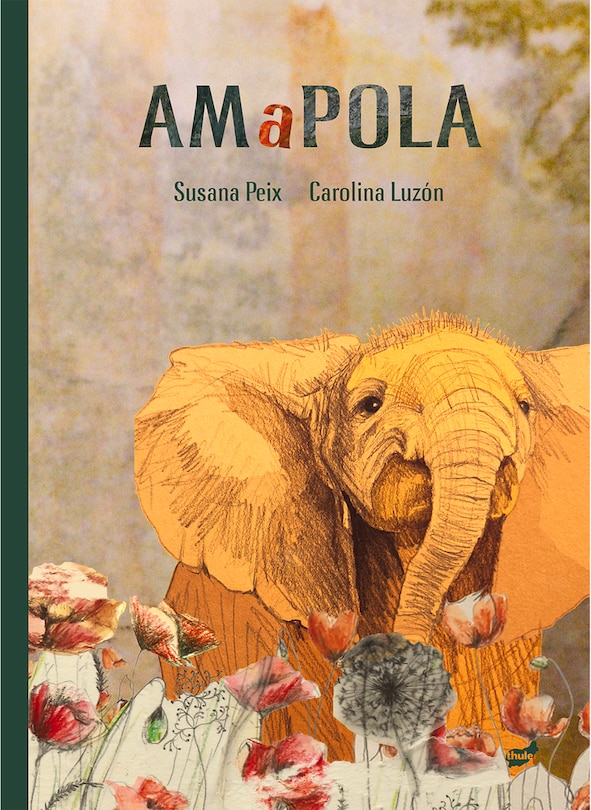 Couverture_Amapola