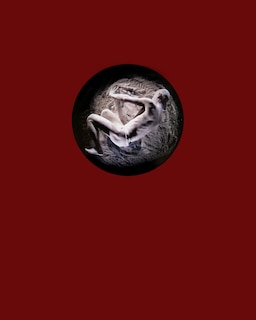 Front cover_The Void: Wolfgang H Scholz