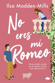 Couverture_No Eres Mi Romeo