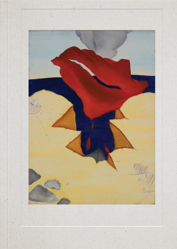 Couverture_Cecilia Vicu�a: Dreaming Water