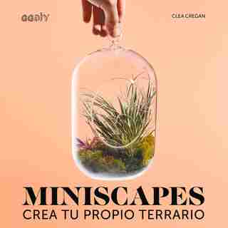 Miniscapes: Crea Tu Propio Terrario by Clea Cregan