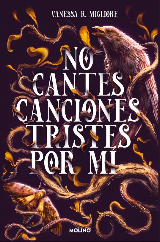 Couverture_No cantes canciones tristes por mí / Don't Sing Sad Songs Because of Me