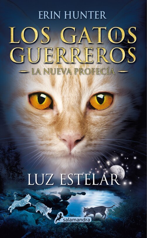 Front cover_Luz Estelar / Starlight