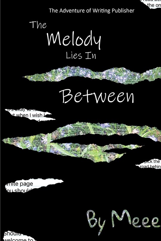Couverture_The Melody Lies In Between