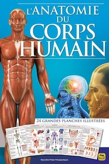 Front cover_L'anatomie du corps humain : 24 grandes planches illustrées