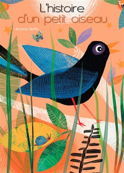 Front cover_L'histoire d'un petit oiseau