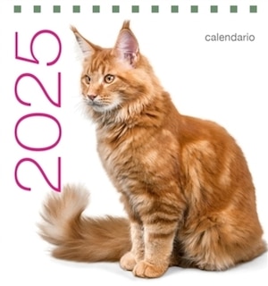 Front cover_Chats : calendrier de table 2025