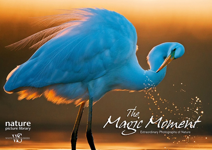 Front cover_MAGIC MOMENT