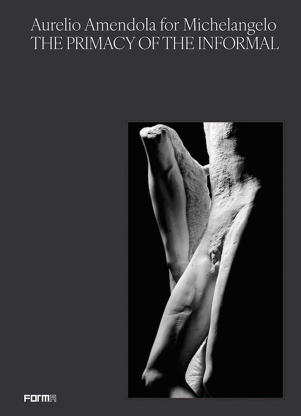 Front cover_Aurelio Amendola for Michelangelo