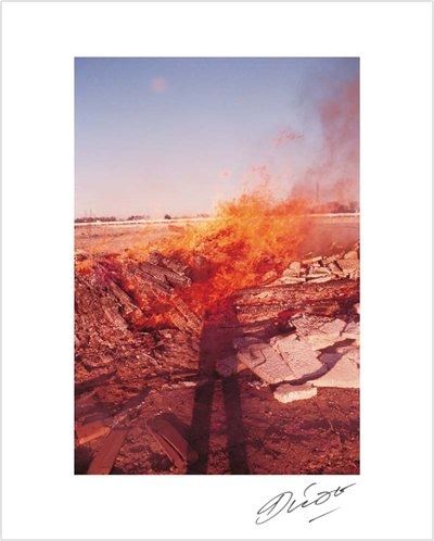 Front cover_Daido Moriyama in Color: Now, and Never Again