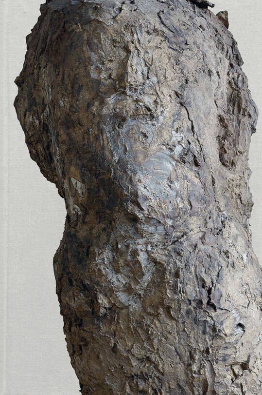Couverture_Hans Josephsohn
