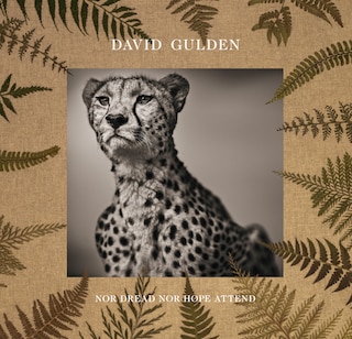 Couverture_David Gulden: Nor Dread Nor Hope Attend