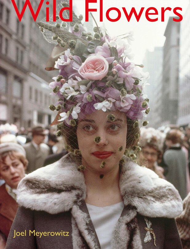 Front cover_Joel Meyerowitz: Wild Flowers