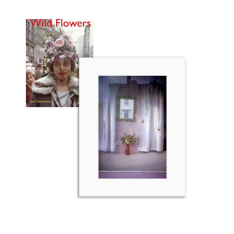 Front cover_Joel Meyerowitz: Wild Flowers, Limited Edition