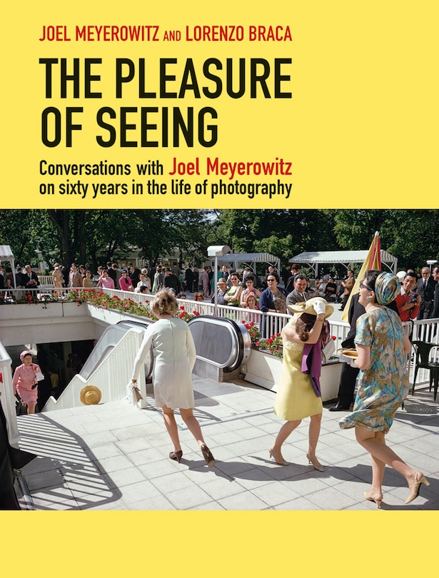Couverture_The Pleasure of Seeing