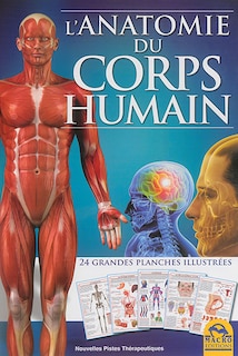 Couverture_L'anatomie Du Corps Humain