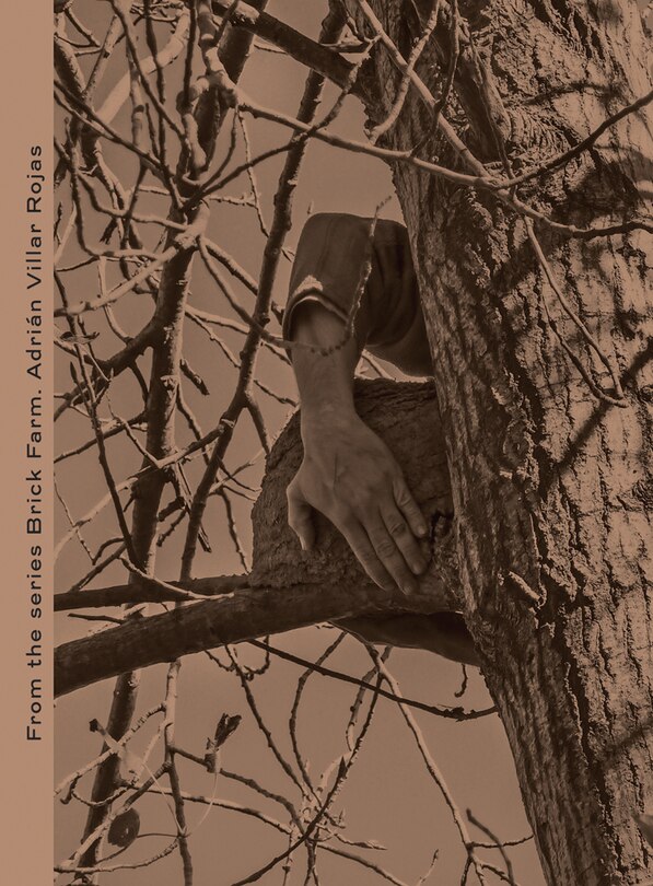 Front cover_Adri�n Villar Rojas: From the Series Brick Farm