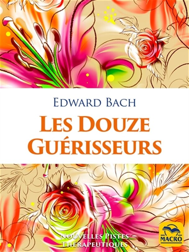 Front cover_Les douze guérisseurs
