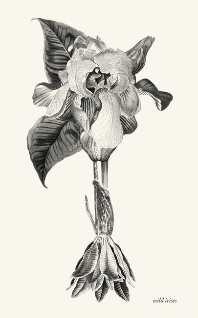 Front cover_wild irises