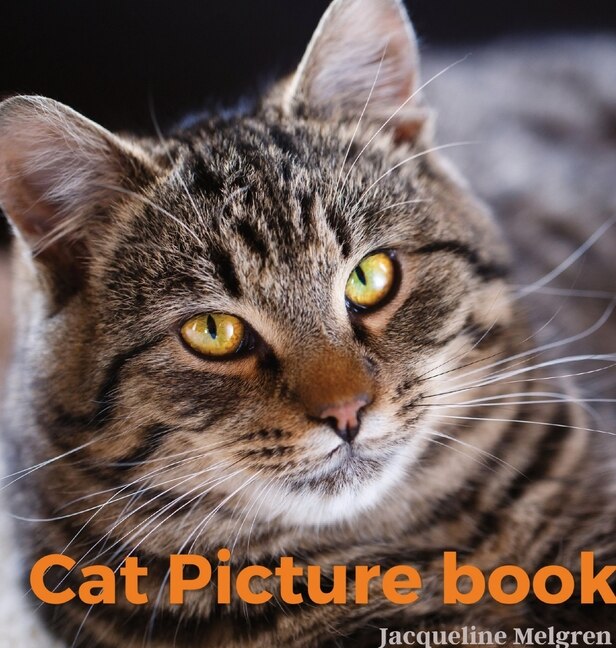 Front cover_Cat Picture Book