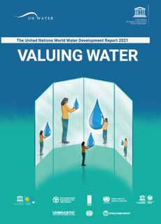Front cover_United Nations World Water Development Report 2021