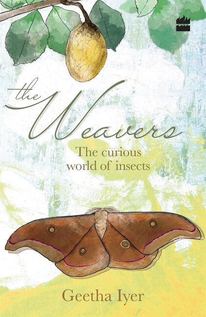 Couverture_The Weavers: The Curious World of Insects