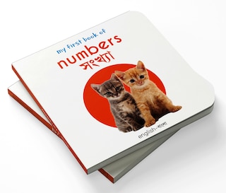 Couverture_My First Book of Numbers