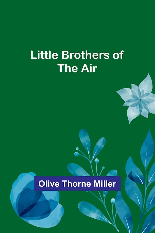Couverture_Little Brothers of the Air