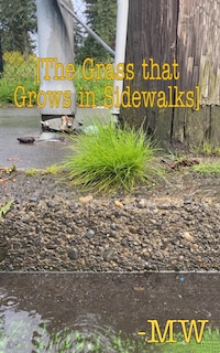 Couverture_The Grass that Grows in Sidewalks