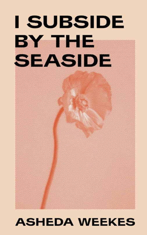 Front cover_I subside by the seaside.