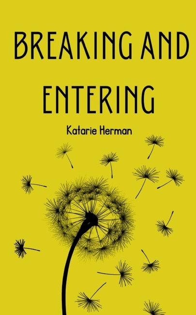 Couverture_Breaking and Entering