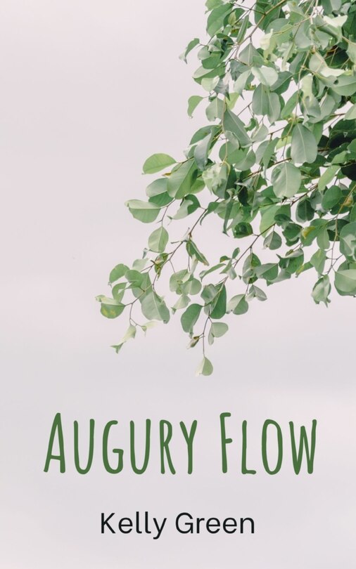 Couverture_Augury Flow