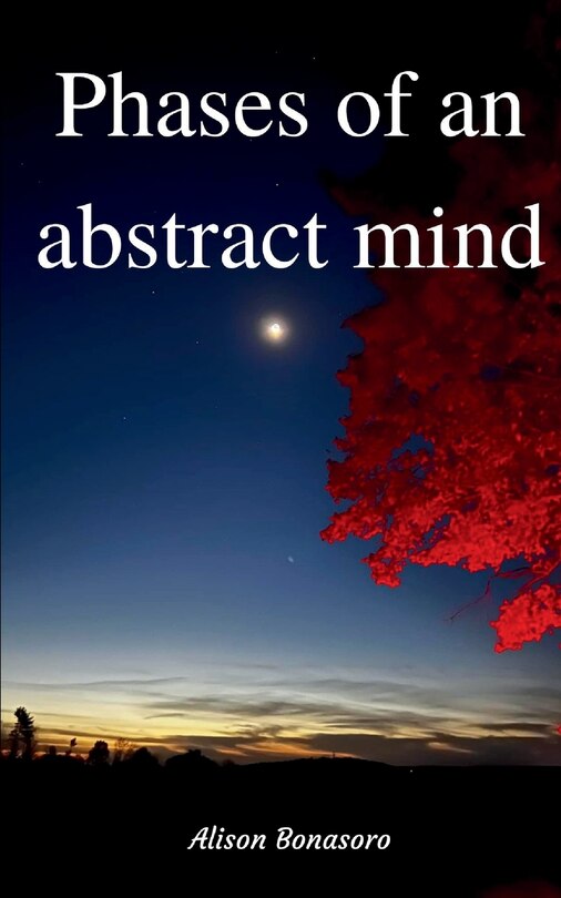 Front cover_Phases of an abstract mind