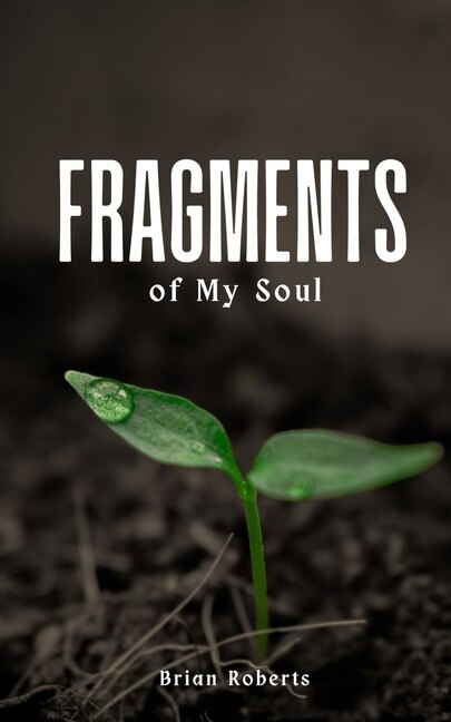 Front cover_Fragments of My Soul