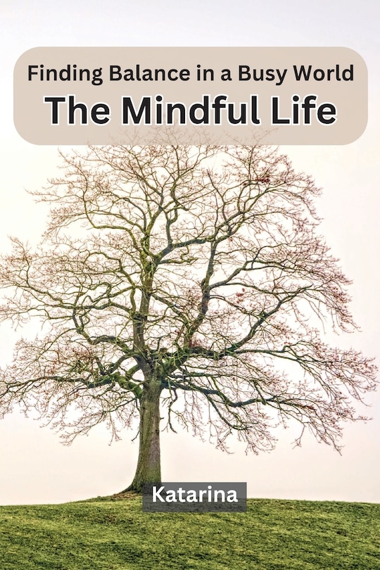 Couverture_Finding Balance in a Busy World