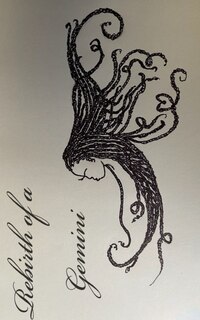 Couverture_Rebirth of a Gemini