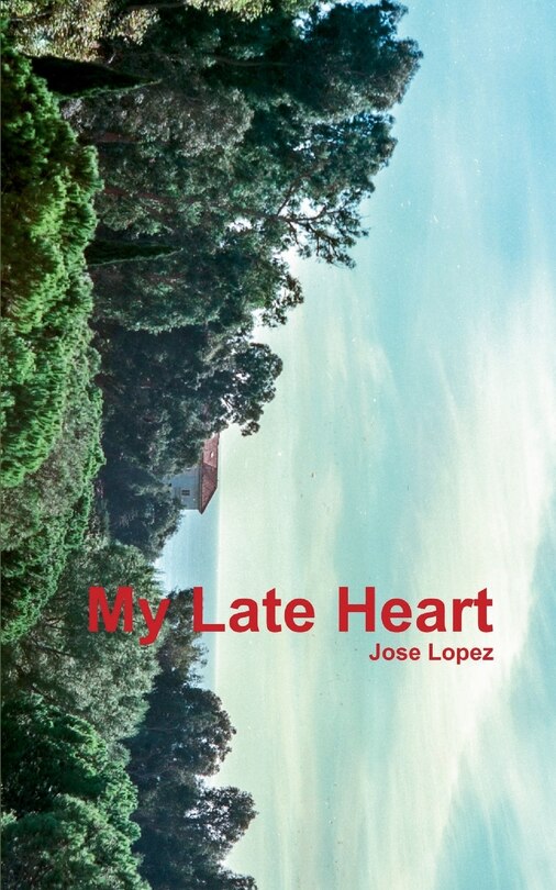 Couverture_My Late Heart